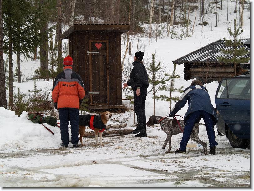 Nästa bild